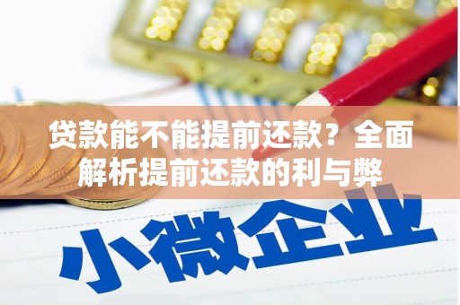 大理贷款能不能提前还款？全面解析提前还款的利与弊