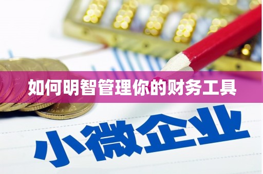 大理如何明智管理你的财务工具