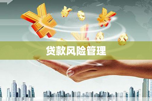 大理贷款风险管理