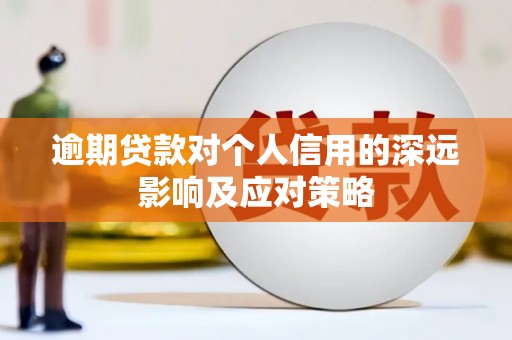 大理逾期贷款对个人信用的深远影响及应对策略