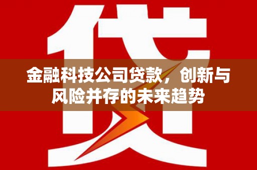 大理金融科技公司贷款，创新与风险并存的未来趋势