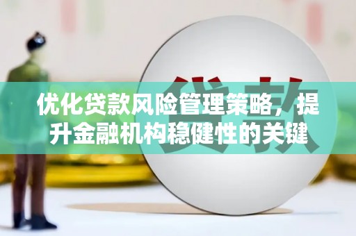 大理优化贷款风险管理策略，提升金融机构稳健性的关键