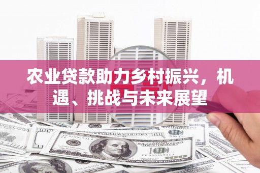 大理农业贷款助力乡村振兴，机遇、挑战与未来展望