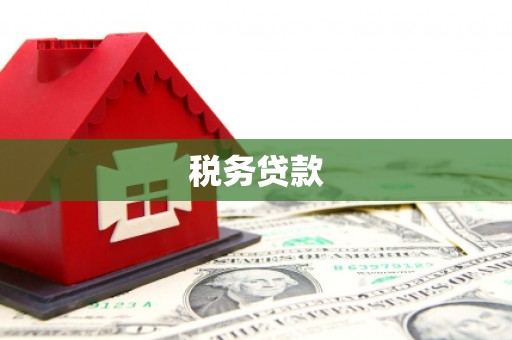 大理税务贷款