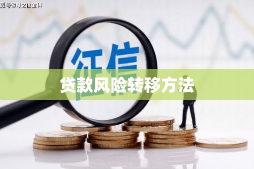 大理贷款风险转移方法