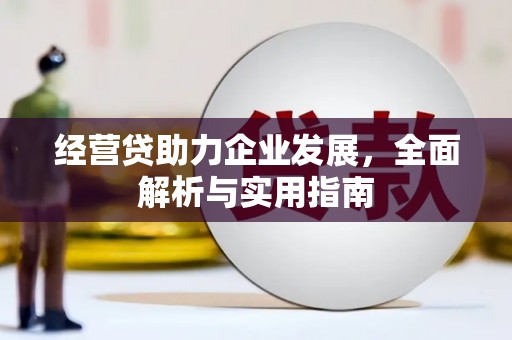 大理经营贷助力企业发展，全面解析与实用指南