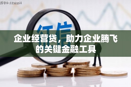 大理企业经营贷，助力企业腾飞的关键金融工具