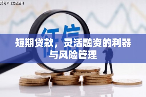 大理短期贷款，灵活融资的利器与风险管理