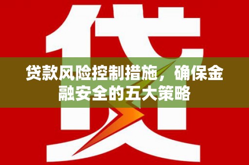 大理贷款风险控制措施，确保金融安全的五大策略