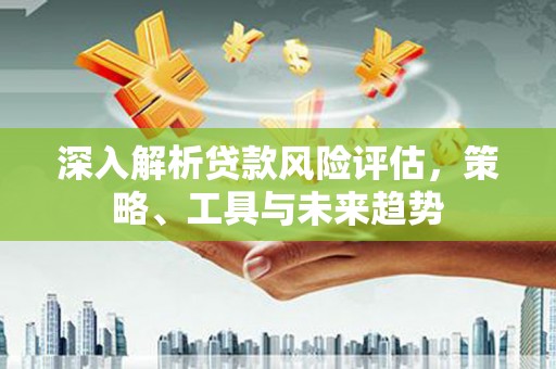 大理深入解析贷款风险评估，策略、工具与未来趋势