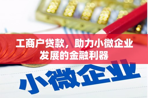 大理工商户贷款，助力小微企业发展的金融利器
