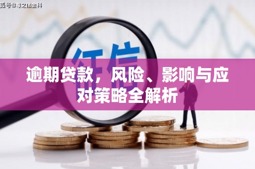 大理逾期贷款，风险、影响与应对策略全解析