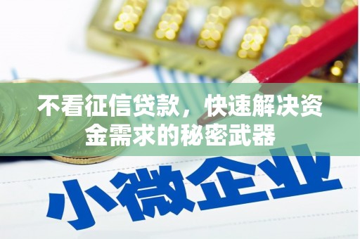 大理不看征信贷款，快速解决资金需求的秘密武器