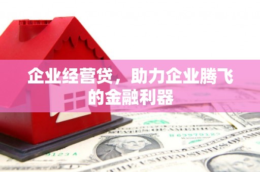 大理企业经营贷，助力企业腾飞的金融利器