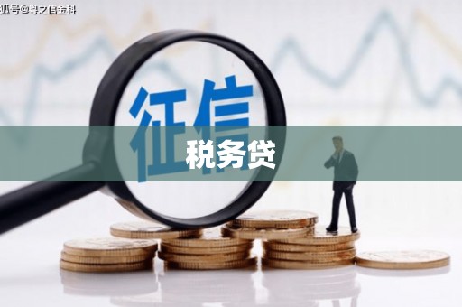 大理税务贷