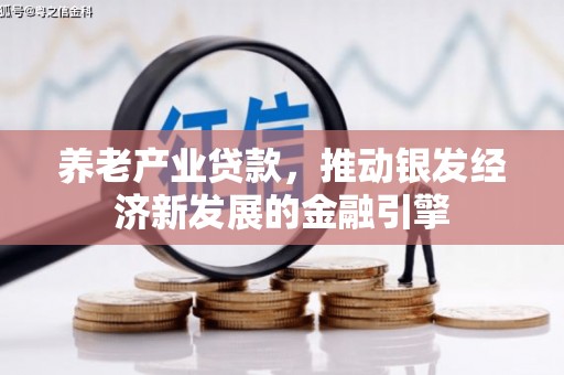 大理养老产业贷款，推动银发经济新发展的金融引擎