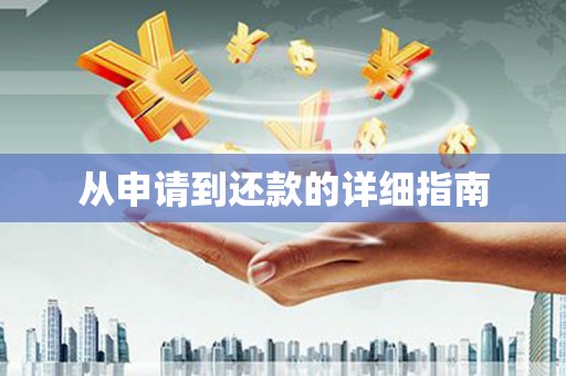 大理从申请到还款的详细指南