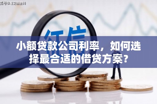 大理小额贷款公司利率，如何选择最合适的借贷方案？