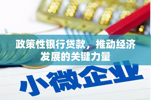 大理政策性银行贷款，推动经济发展的关键力量