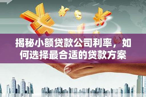 大理揭秘小额贷款公司利率，如何选择最合适的贷款方案