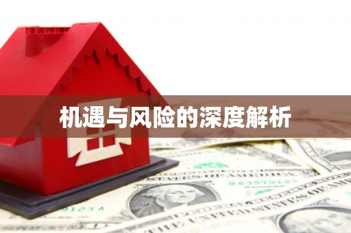 大理机遇与风险的深度解析