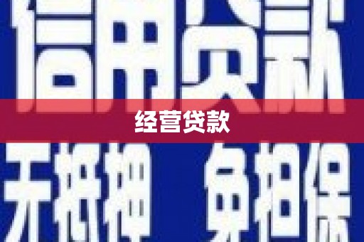 大理经营贷款
