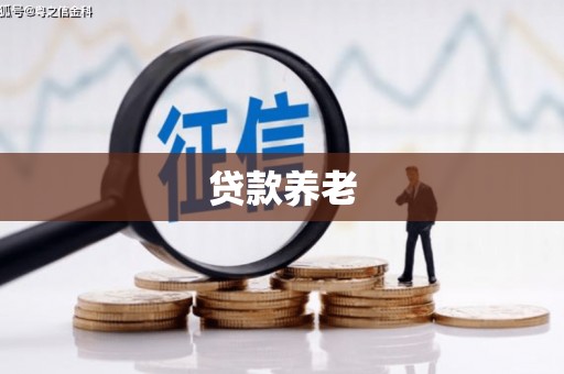 大理贷款养老