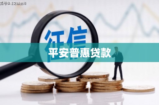 大理平安普惠贷款