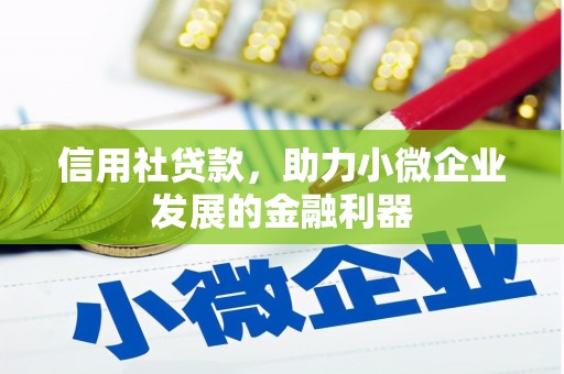 大理信用社贷款，助力小微企业发展的金融利器