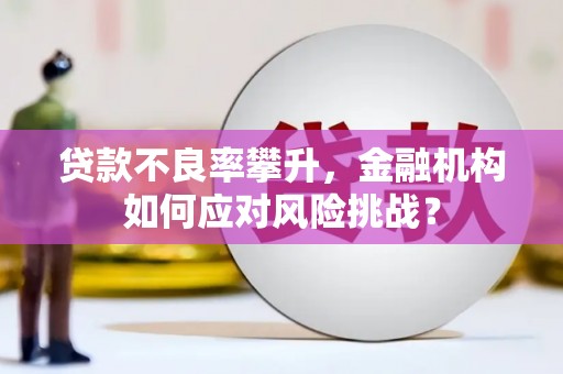大理贷款不良率攀升，金融机构如何应对风险挑战？