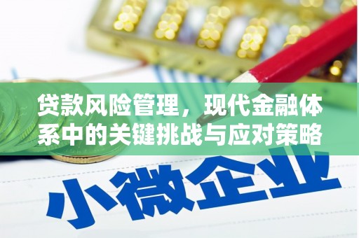 大理贷款风险管理，现代金融体系中的关键挑战与应对策略