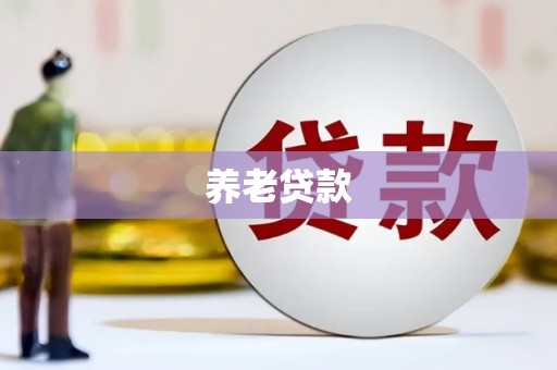 大理养老贷款