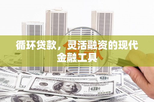 大理循环贷款，灵活融资的现代金融工具