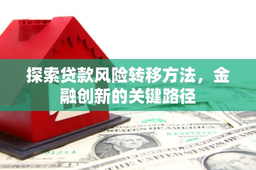 大理探索贷款风险转移方法，金融创新的关键路径