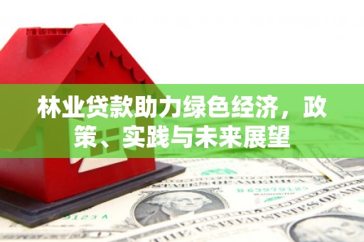 大理林业贷款助力绿色经济，政策、实践与未来展望