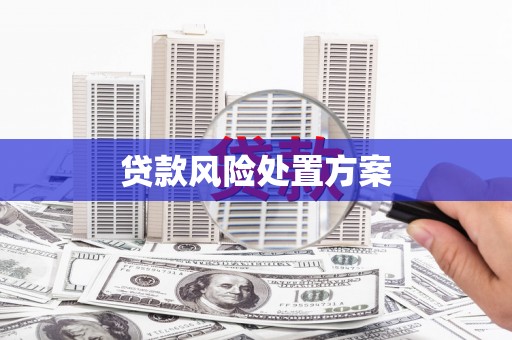 大理贷款风险处置方案