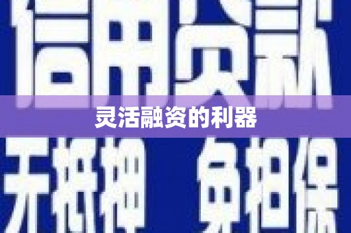 大理灵活融资的利器