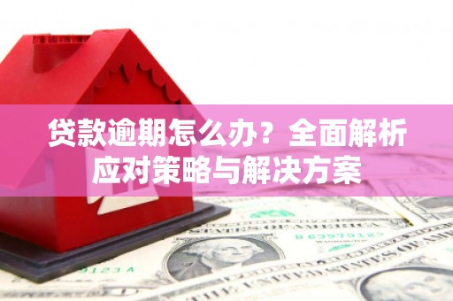 大理贷款逾期怎么办？全面解析应对策略与解决方案
