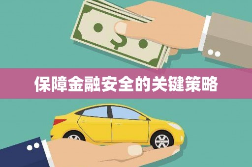大理保障金融安全的关键策略