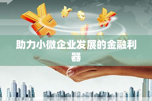 大理助力小微企业发展的金融利器