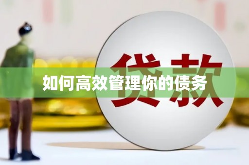 大理如何高效管理你的债务