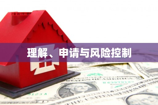 大理理解、申请与风险控制