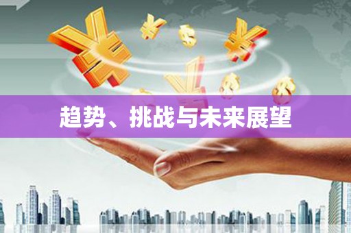 大理趋势、挑战与未来展望