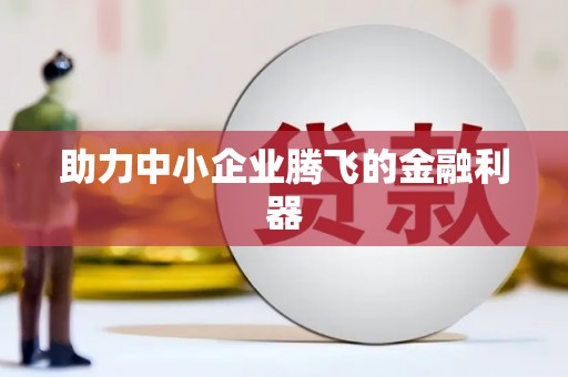 大理助力中小企业腾飞的金融利器
