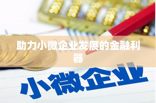 大理助力小微企业发展的金融利器