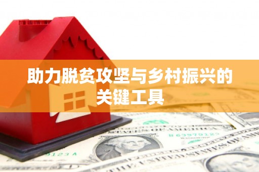 大理助力脱贫攻坚与乡村振兴的关键工具
