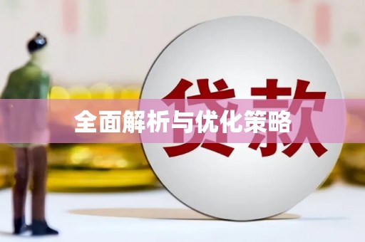 大理全面解析与优化策略