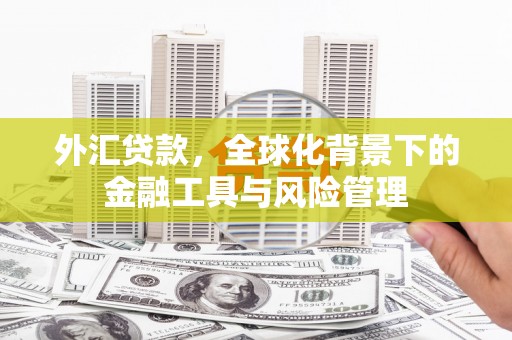 大理外汇贷款，全球化背景下的金融工具与风险管理